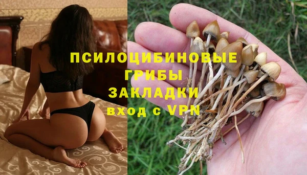 spice Алексеевка