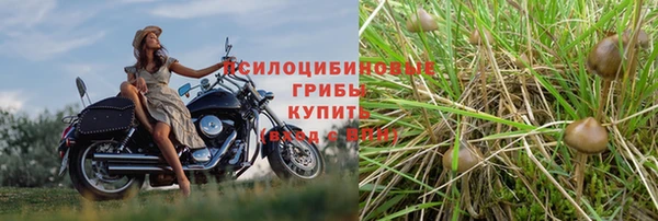 spice Алексеевка