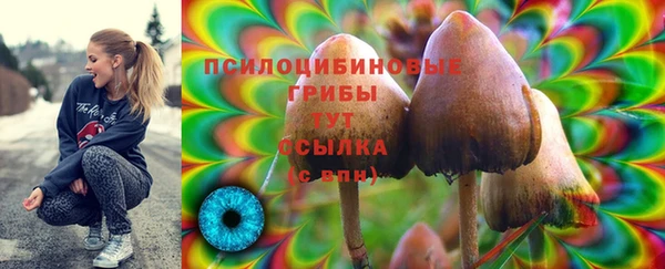 мет Алзамай