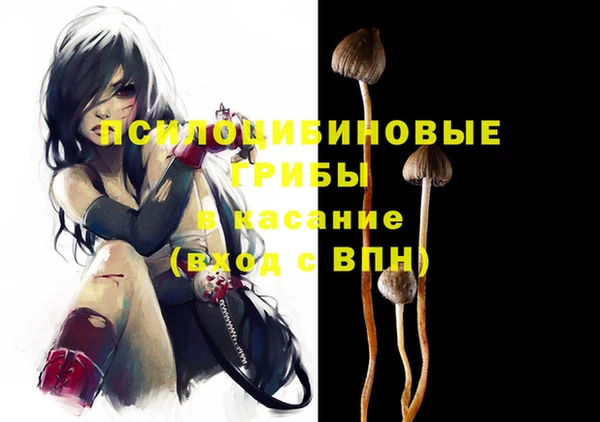 spice Алексеевка
