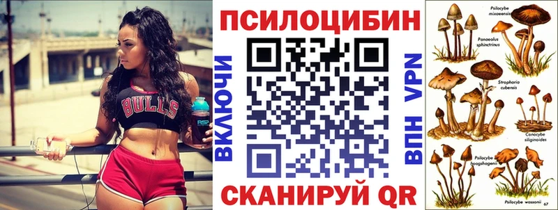 Галлюциногенные грибы прущие грибы гидра ссылки Игра
